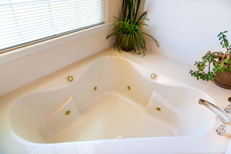 Top Bathtub Installation Companies in Tonganoxie, KS